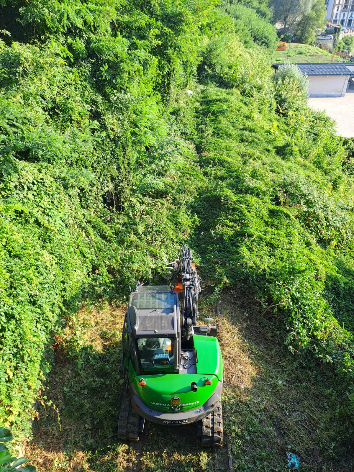 WhatsApp Image 2025 08 09 at 08.21.19 1754721639017