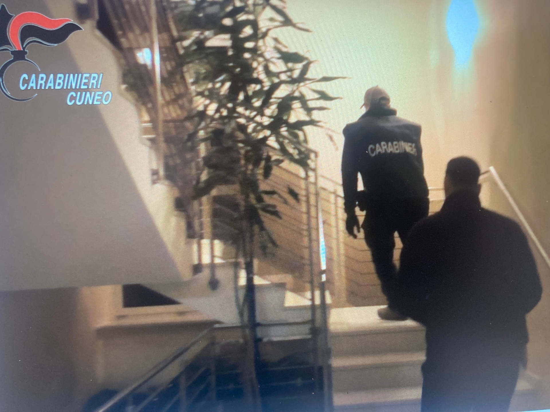 IMG 8337 1762436017533