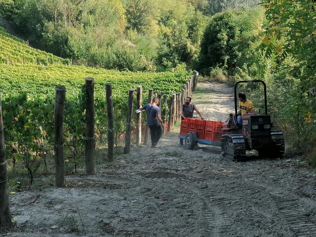 Presentazione incontro Quando il clima incontra la vigna Dogliani 5 febbraio 2026